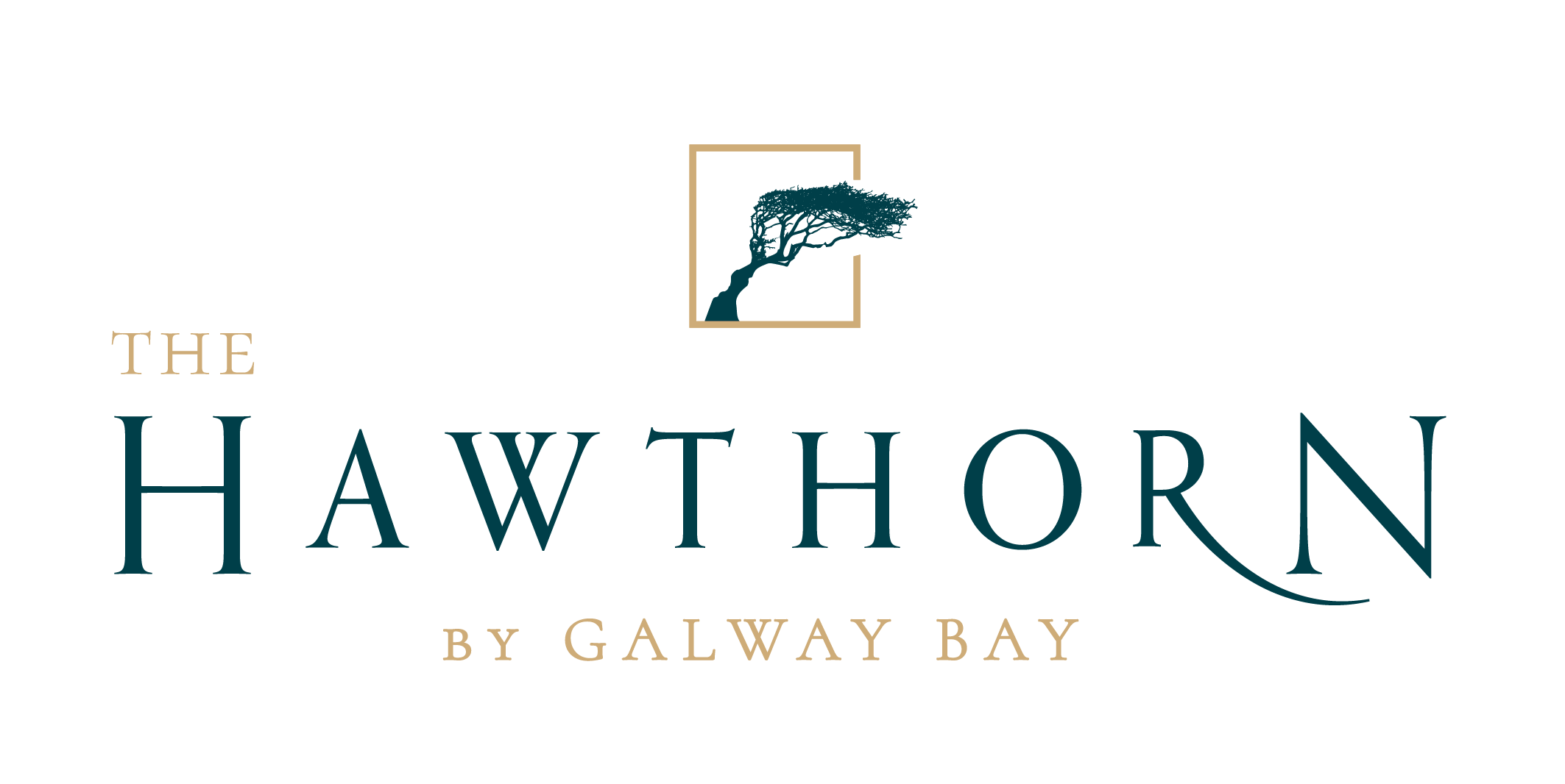The Hawthorn Hotel Logo